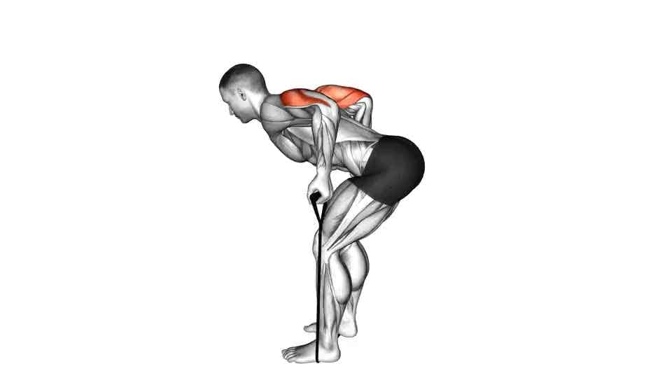 Thumbnail for the video of exercise: Band Triceps Kickback