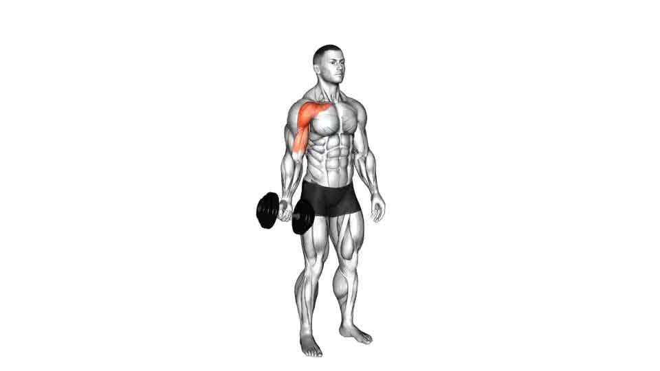 Thumbnail for the video of exercise: Dumbbell One Arm Low Fly