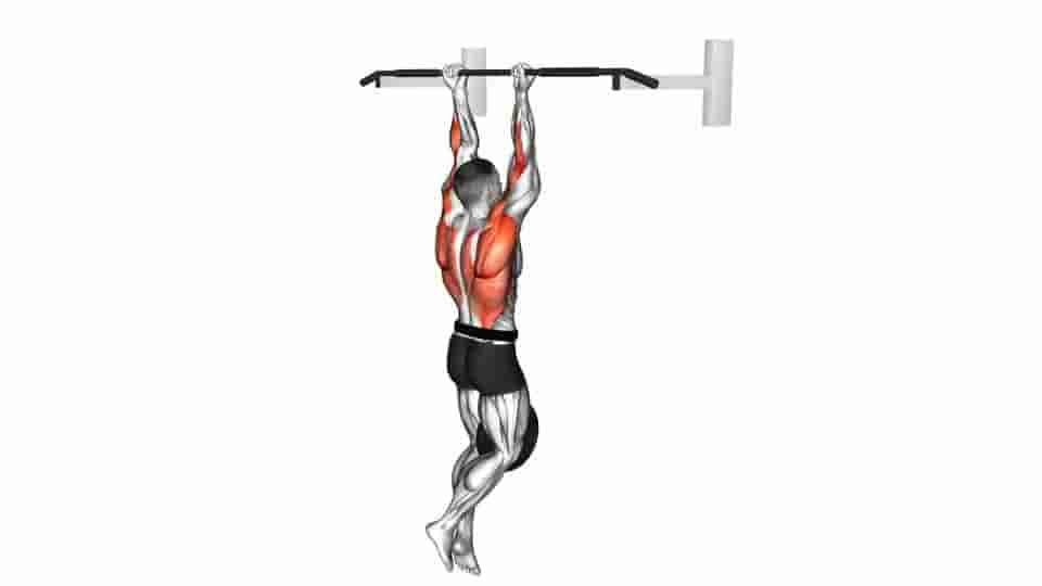 Thumbnail for the video of exercise: Weighted Hang Chin-Up