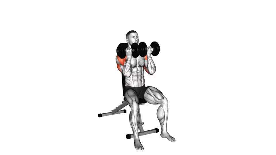 Thumbnail for the video of exercise: Dumbbell Seated Close Grip Press