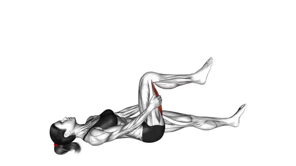 Thumbnail for the video of exercise: Hamstring Stretch