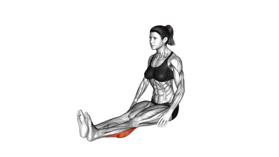 Thumbnail for the video of exercise: Seated Calf Stretch