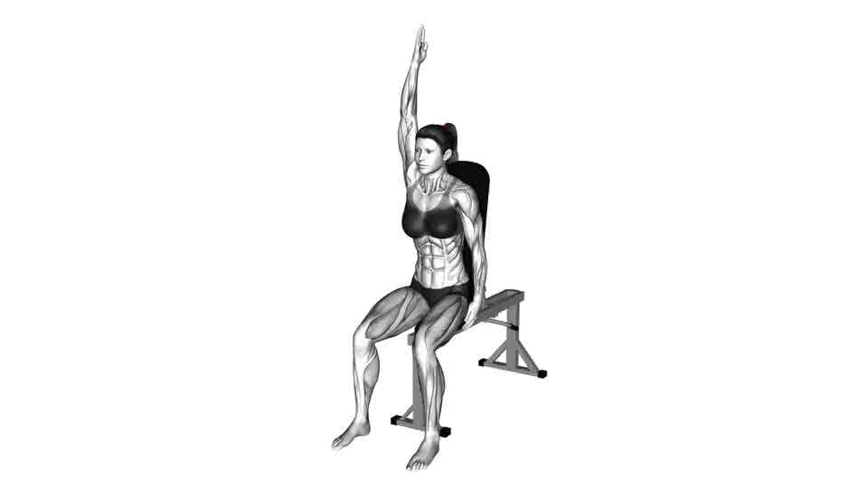 Thumbnail for the video of exercise: Estiramiento de la espalda baja sentado