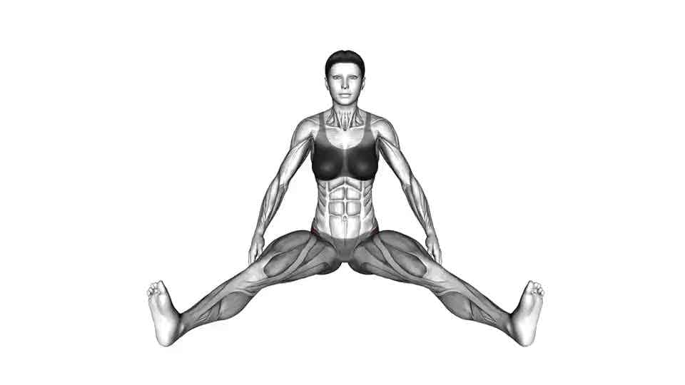 Thumbnail for the video of exercise: Seated Wide Angle Pose Sequence