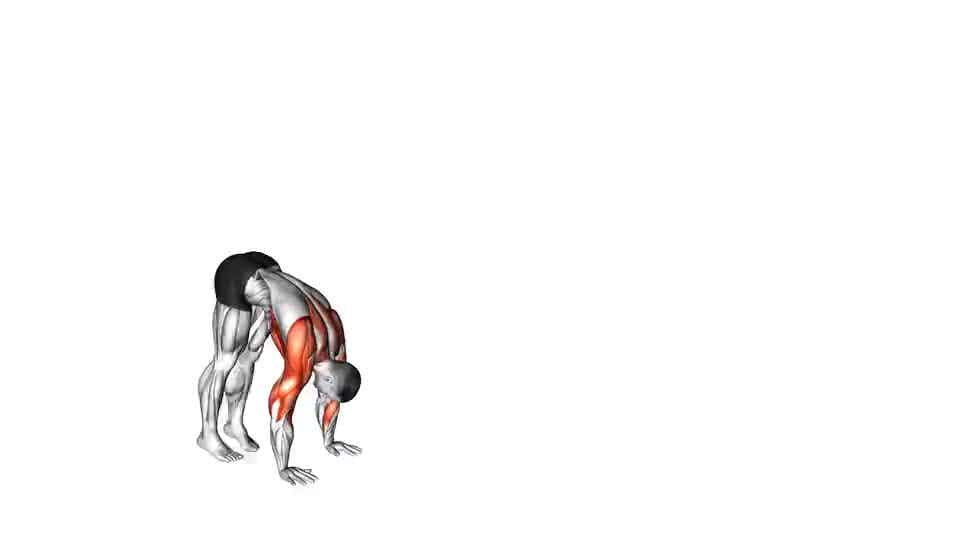 Thumbnail for the video of exercise: Handstand Walk