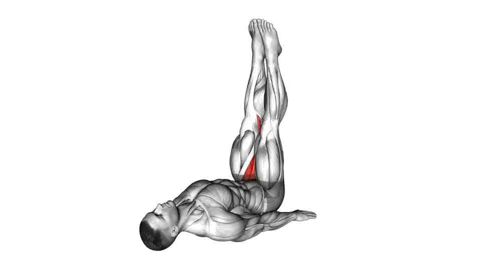 Thumbnail for the video of exercise: Adductor Stretch