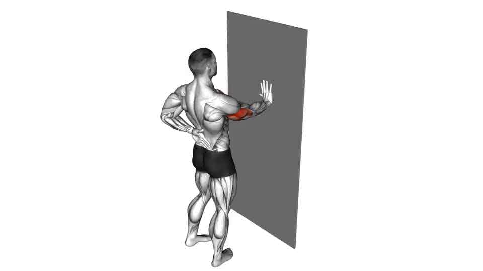 Thumbnail for the video of exercise: Single Arm Push-up Supported Wall