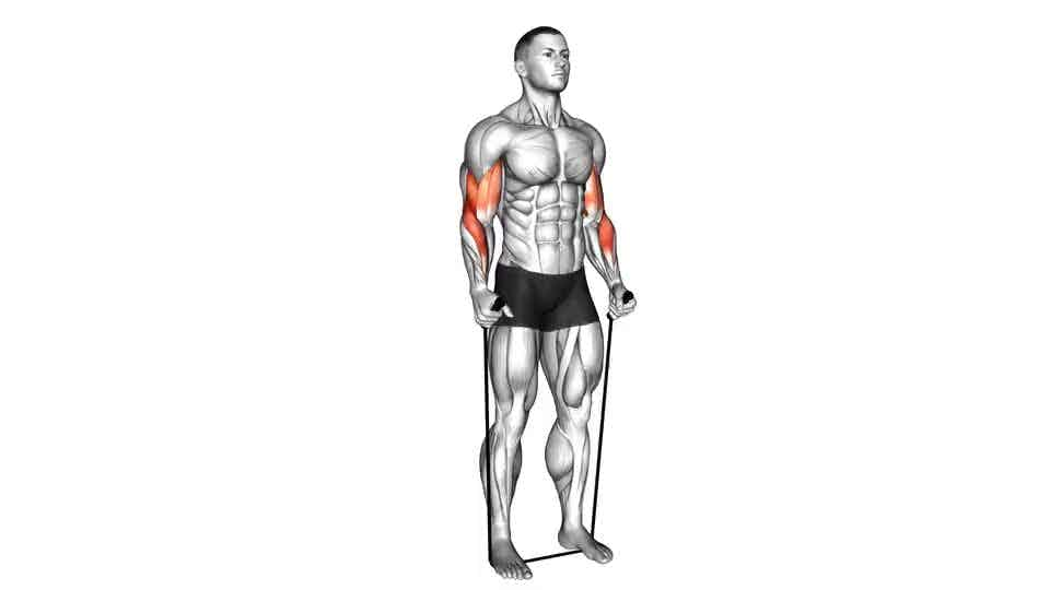 Thumbnail for the video of exercise: Band Standing Hammer Curl