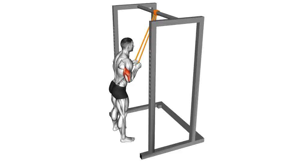 Thumbnail for the video of exercise: Resistance Band Triceps Pushdown