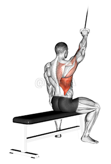 Thumbnail for the video of exercise: Alternate Lateral Pulldown