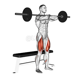 Thumbnail for the video of exercise: Barbell બેન્ચ ફ્રન્ટ સ્ક્વોટ