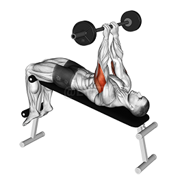 Thumbnail for the video of exercise: Barbell Decline Close Grip To Skull Press
