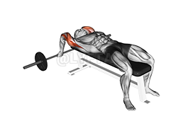 Thumbnail for the video of exercise: Barbell Lying Close-grip Triceps Extension