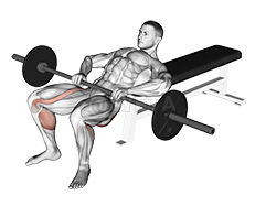 Thumbnail for the video of exercise: Barbell Lying Lifting