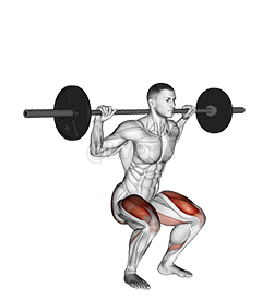 Thumbnail for the video of exercise: Barbell Narrow Stance Squat