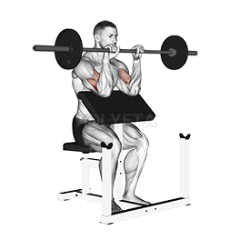 Thumbnail for the video of exercise: Reverse Preacher Curl