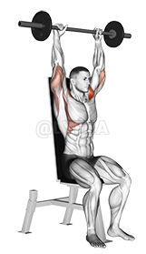 Thumbnail for the video of exercise: Barbell Seated Bradford Rocky Press