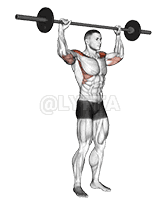 Thumbnail for the video of exercise: Barbell Standing Bradford Press