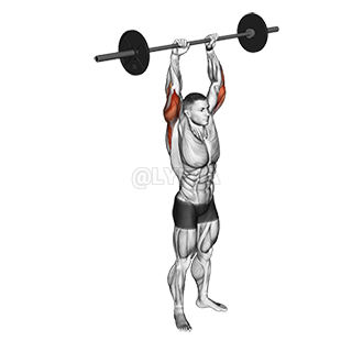 Thumbnail for the video of exercise: Standing Overhead Triceps Extension