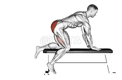 Thumbnail for the video of exercise: Bench Hip Extension