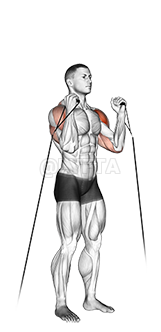 Thumbnail for the video of exercise: Cable Alternate Shoulder Press