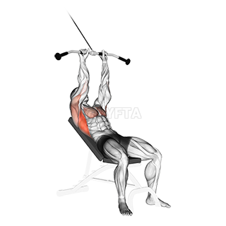 Thumbnail for the video of exercise: Incline Pushdown na nse