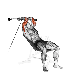 Thumbnail for the video of exercise: Tụgharịa Triceps Extension