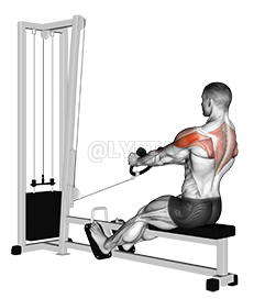 Thumbnail for the video of exercise: Cable Rear Delt Row