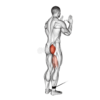 Thumbnail for the video of exercise: Standing Hip Extension