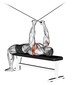 Thumbnail for the video of exercise: Cable Supine Reverse Fly