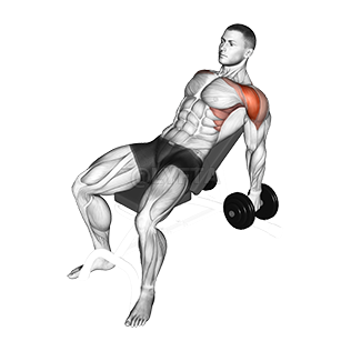 Thumbnail for the video of exercise: Incline Raise