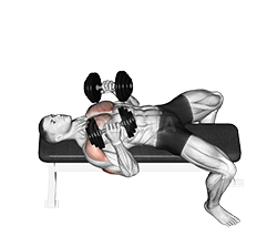 Thumbnail for the video of exercise: Dumbbell Lying Elbow Press