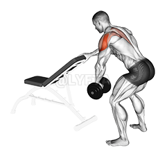 Thumbnail for the video of exercise: Dumbbell One Arm Reverse Fly