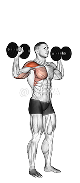 Thumbnail for the video of exercise: Dumbbell One Arm Shoulder Press