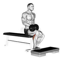 Thumbnail for the video of exercise: Dumbbell Seated One Leg Calf Raise