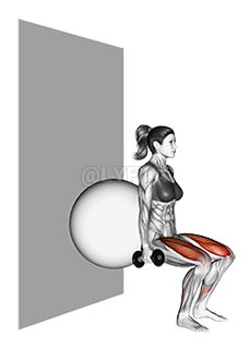 Thumbnail for the video of exercise: Dumbbell Squat