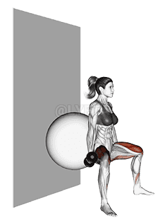 Thumbnail for the video of exercise: Dumbbell Sumo Squat