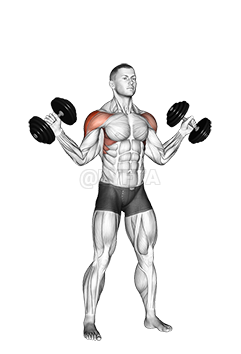 Thumbnail for the video of exercise: Dumbbell W-press
