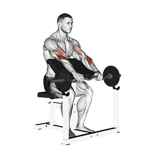 Reverse bar preacher curl sale