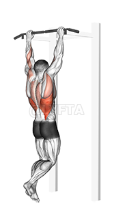 Thumbnail for the video of exercise: Gironda sternum manton