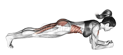 Thumbnail for the video of exercise: Droichead Ardaigh Hip