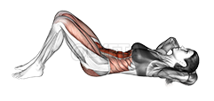 Thumbnail for the video of exercise: Hip Raise Crunch