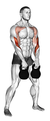 Thumbnail for the video of exercise: Kettlebell Doble Alternativo Colgante Limpio