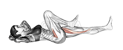 Thumbnail for the video of exercise: Lying Simultaneous Alternating Leg Raise