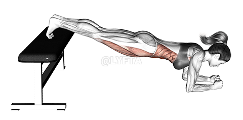 Thumbnail for the video of exercise: Narrow Leg Bench Bridge