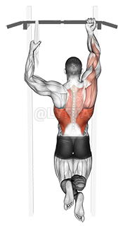 Thumbnail for the video of exercise: Bolo kelen Chin-Up