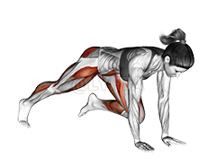 Thumbnail for the video of exercise: Push-up