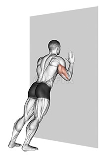 Thumbnail for the video of exercise: ઉપર દબાણ