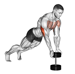 Thumbnail for the video of exercise: Push-Up Close-grip off Dumbbell