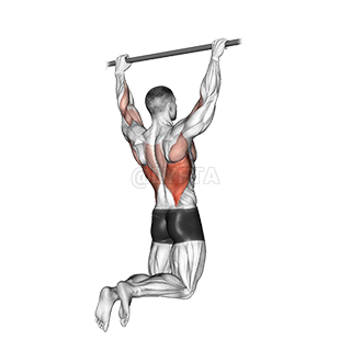 Thumbnail for the video of exercise: Qhipa Pull-up ukax mä juk’a pachanakanwa